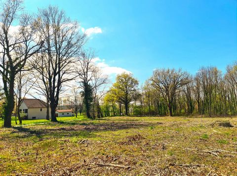 terrain plat à bâtir dans un environnement calme