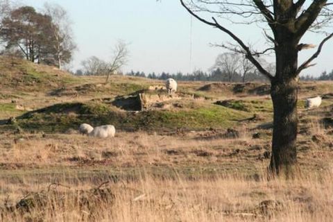 This specially designed round, revolving house is in a small-scale park in Friesland. For the children, there is a small enclosed playground and a football field. If you are looking for peace and quiet in a beautiful place surrounded by nature, then ...
