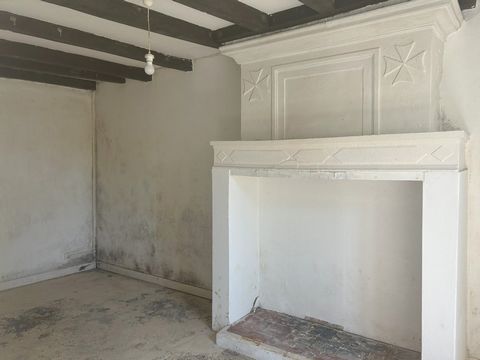 photo no. 5