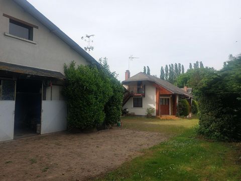 photo no. 3