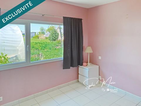 photo no. 10