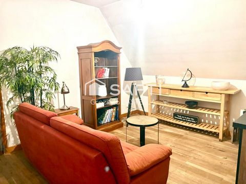 photo no. 14
