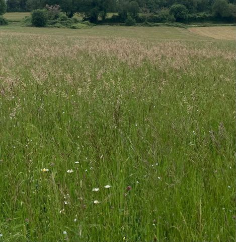photo no. 1