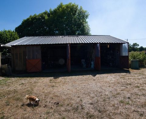 photo no. 2