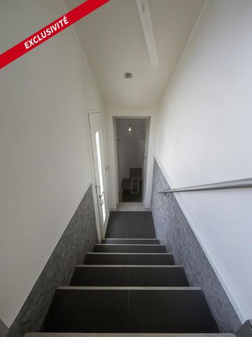 photo no. 12