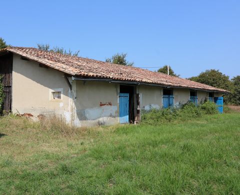 photo no. 2