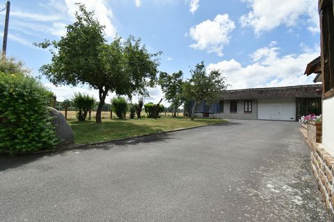 photo no. 2