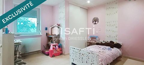 photo no. 8