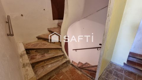 photo no. 6