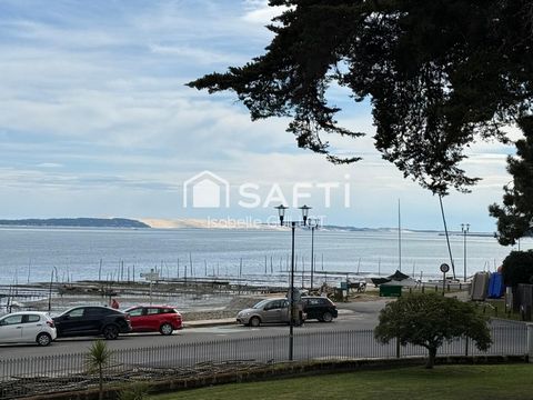 photo no. 15