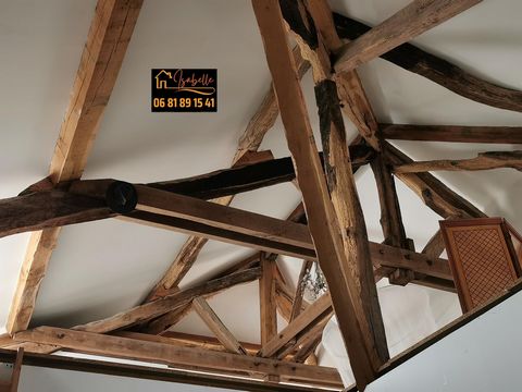 photo no. 4