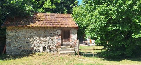 photo no. 6