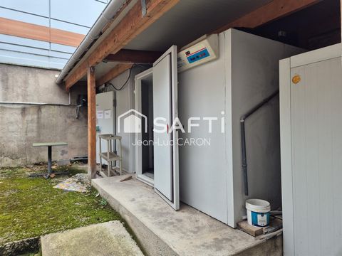 photo no. 16