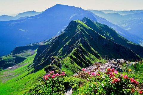 Bienvenue au Landhaus Alpbach ! En 2017, nous avons rénové notre Appartement I pour vous. Équipés de meubles en bois massif naturel de haute qualité, ils brillent désormais dans une ambiance moderne et confortable avec une grande attention aux détail...