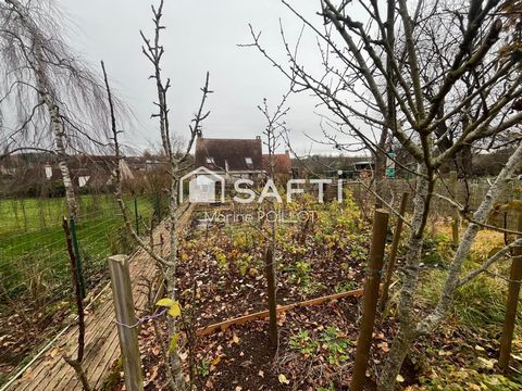 photo no. 13
