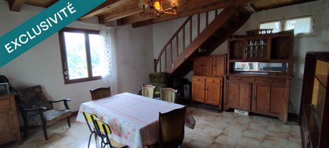 photo no. 9