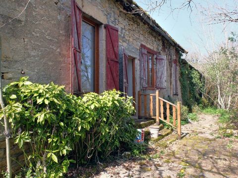 photo no. 21
