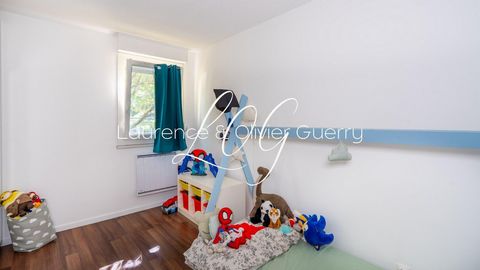 photo no. 8