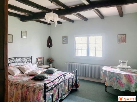 photo no. 11