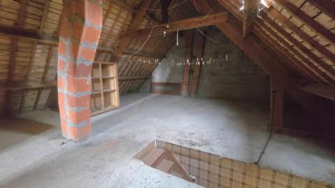 photo no. 13
