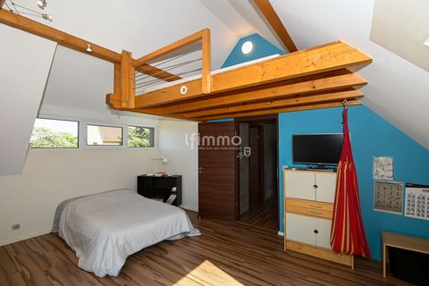 photo no. 11