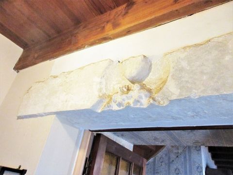 photo no. 11