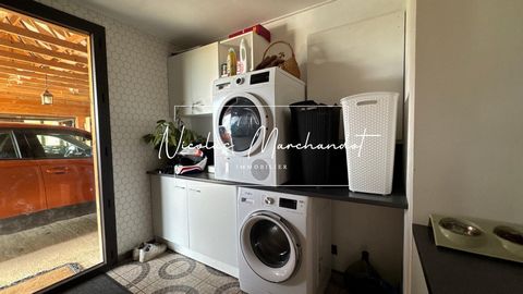 photo no. 10