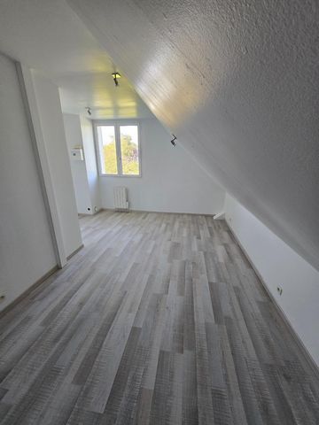 photo no. 5