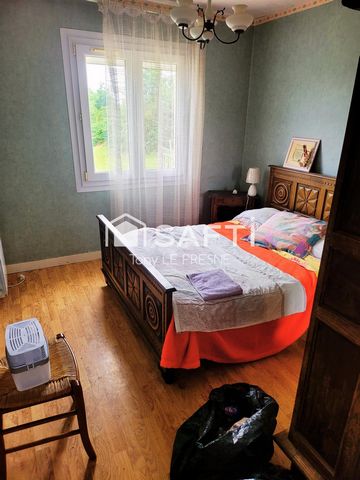 photo no. 6