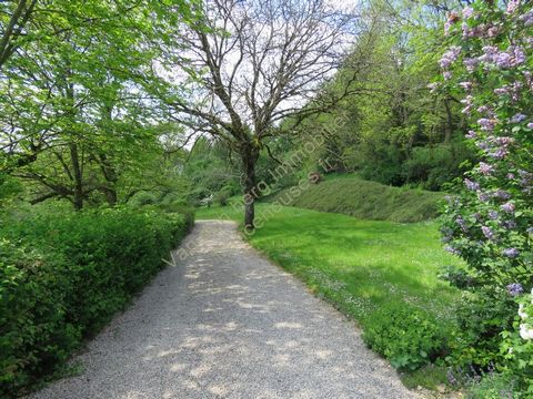 photo no. 25