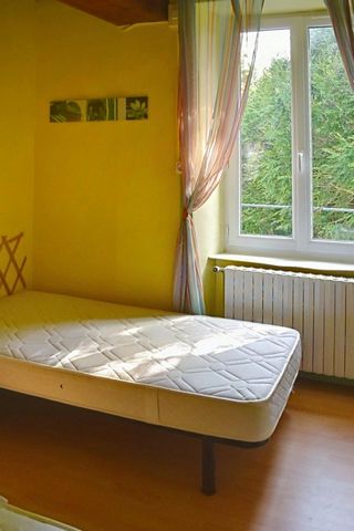 photo no. 12