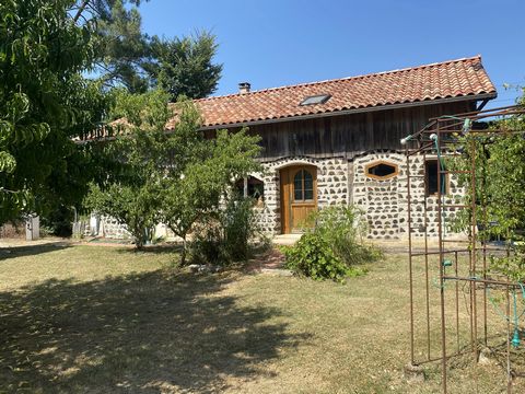 photo no. 12