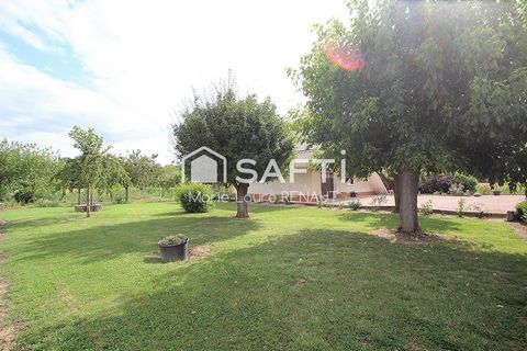 photo no. 2