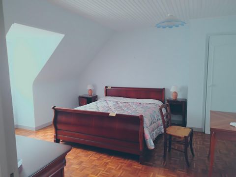 photo no. 9