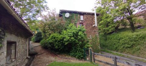 photo no. 2