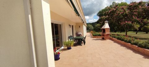 photo no. 12