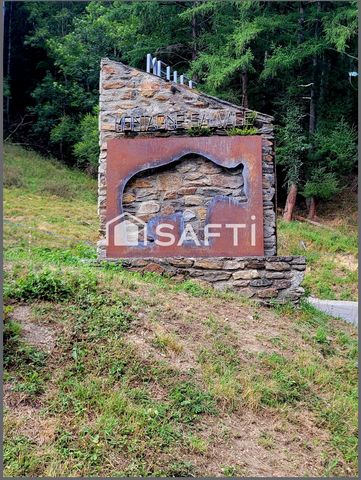 photo no. 14