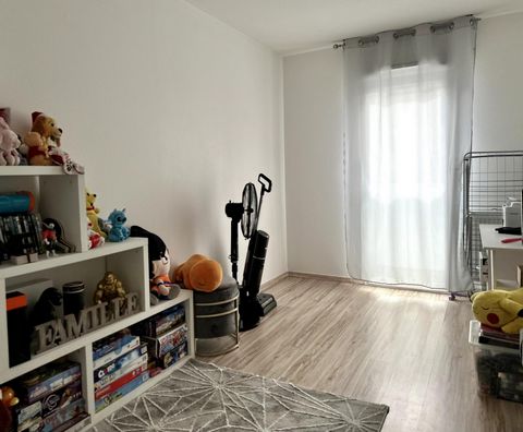 photo no. 6
