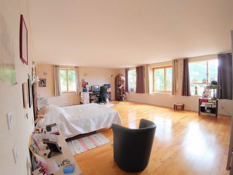photo no. 2
