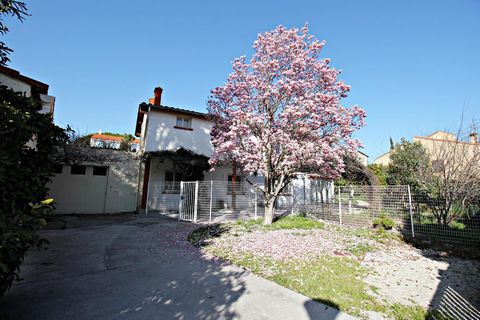 photo no. 6