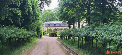 photo no. 16