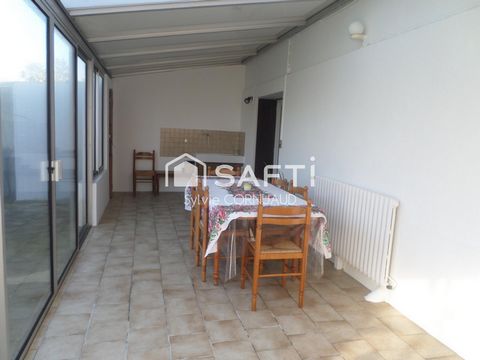 photo no. 11