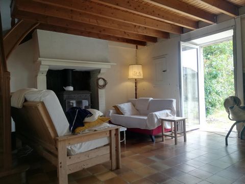 photo no. 8