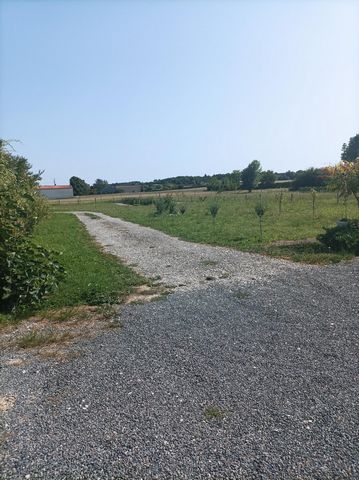 photo no. 8