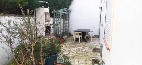 photo no. 12