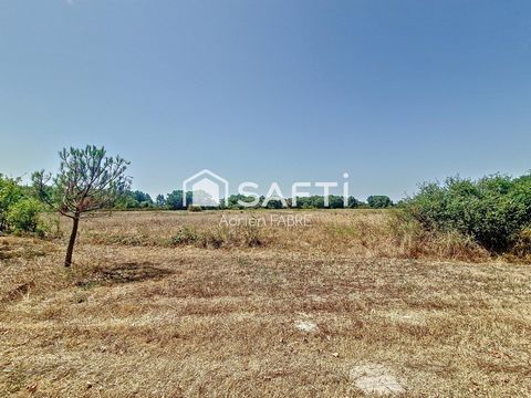 photo no. 6