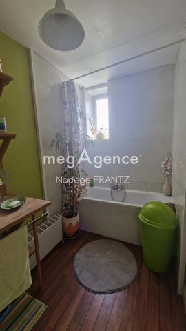 photo no. 12