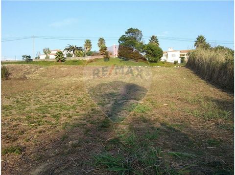 Description Rustic (agricultural) land with excellent access, location and sun exposure. Possibility of building a warehouse to support agriculture. Rustic land (agricultural) with excellent access, location and sun exposure. Possibility of building ...