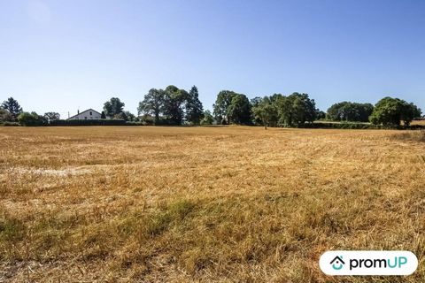 Land of 1.4623 ha for sale in Saint-Maurice-la-Souterraine (23) This large plot of land with an area of 1.4623 hectares is for sale in Saint-Maurice-la-Souterraine with a building area of 5,770 m2, in the Creuse department. Bounded and serviced land,...