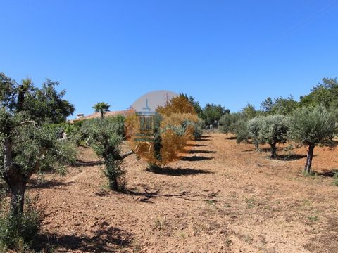 Terreno rustico a São Brás de Alportel con acqua comunale e fognature sulla strada che delimita il terreno. Non perdere altro tempo e contattami! Il negozio immobiliare Casas do Sotavento è stato fondato nel 2000 con l'obiettivo di essere l'immobile ...